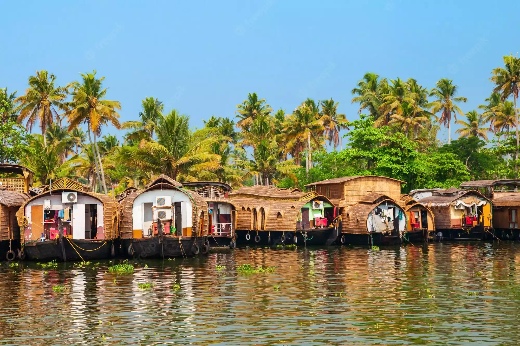 4N Romantic Getaway (Kerla) Photo